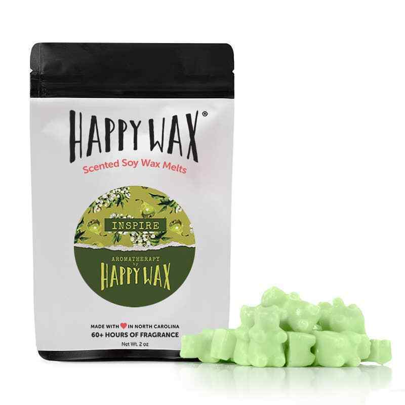 Confectionary-Inspired Wax Melts : wax melts