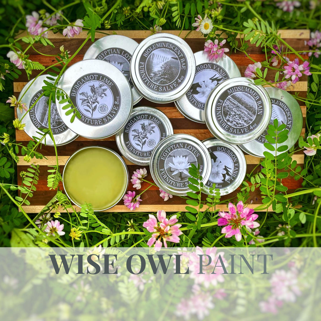 Wise Owl One online Hour CERAMIC Wall Paint, Gallon, Luxury Wall Paint, Free Shipping